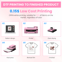 Imprimante DTF A3 Ingani 13 pouces avec four pour transfert rapide sur textile et T-shirt utilisant du film PET