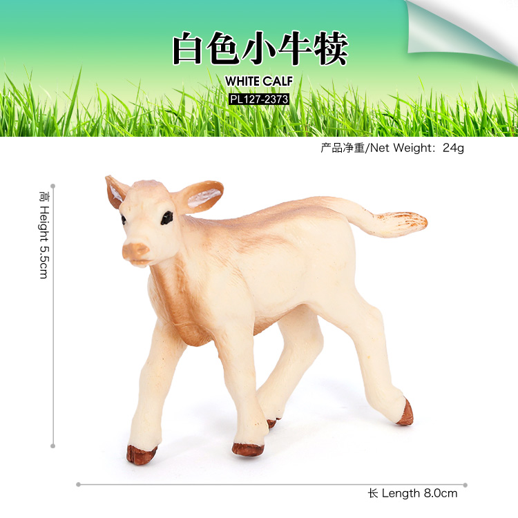 2373 ลูกวัวสีขาว