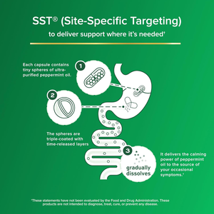 Private Label Halal Gastro-intestinaal Biologisch Comfort Supplement 50mg Natuurlijk Extract Pepermuntolie <span class=keywords><strong>Capsules</strong></span> voor Volwassen Gezondheid - Product Image 2