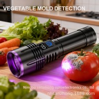 Lampe torche LED rechargeable en alliage d'aluminium à miroir noir, 20W haute puissance, lumière UV 365nm, détection d'argent, authentification, IP20, 100m