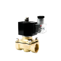 Vanne solénoïde en laiton normalement fermée 3/8'' 220V 12V 24V à action directe pour eau, gaz et huile