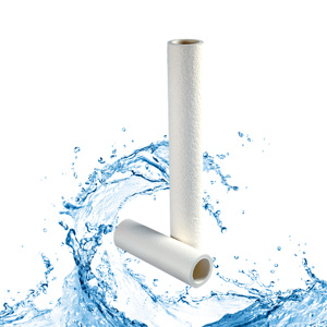 Cartouche filtrante en PP soufflé à chaud de 10/20 pouces pour purificateur d'eau, pour coton filé - Product Image 1