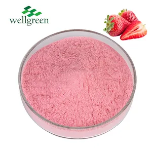 Fruit Powder Factory Good Flavor Organic Freeze Dried Strawberry Fruit Powder