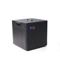 Refroidisseurs à eau personnalisés de 0,3 hp 0,5 hp 1hp Refroidisseur bain de glace de récupération de fitness pour athlètes Refroidisseur plongeant froid avec filtre