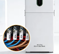 Système de stockage d'énergie domestique grande capacité 12KW 30KWH, onduleur à onde sinusoïdale pure 5000W, station d'alimentation à batterie LiFePO4