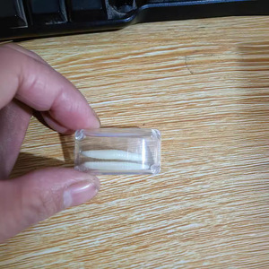 En stock: Juguetes de simulación de insectos de hielo enteros, moscas de cubitos de hielo, bichos blancos de cristal para broma, juguetes creativos transfronterizos - Product Image 2