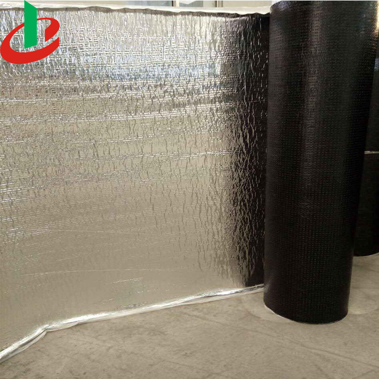 SBS or APP Bitumen Roofing Felts
