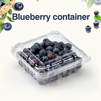 Wegwerp Doorzichtige 125G Bosbessenverpakkingsdozen Clamshell Blister Fruitvoedselcontainer Bosbessencontainer