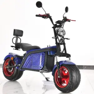 Blue Color Good Look Three Wheel 2000W Chopper Model M3 Fast Speed Electric Scooters Adult Citycoco