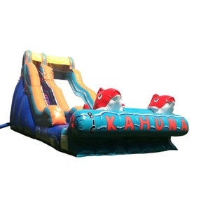 Toboggan gonflable géant commercial à sec, modèle Big Kahuna Red Fishes, pour enfants et adultes, idéal pour le jardin - Vente chaude - Product Image 3