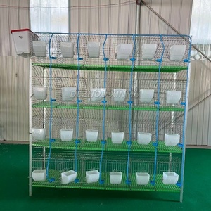 กรงกระต่ายเพื่อการค้าระยะยาว24ตำแหน่งบ้านกระต่ายไร้มูลสัตว์ - Product Image 3