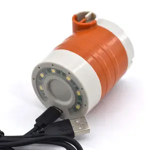 Mini pompa gonfiabile elettrica dimmerabile Premium-esperienza di illuminazione regolabile e gonfiaggio senza sforzo