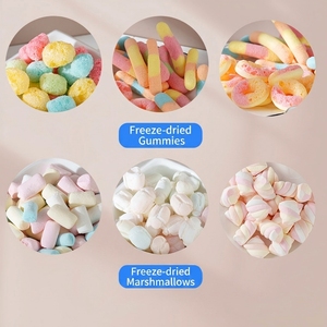 Gomitas Liofilizadas de Marca Privada OEM, Dulces Crujientes de Arcoíris, Certificación Halal, Snacks Novedosos, Precio de Fábrica - Product Image 3