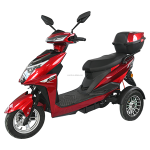 Motocicleta de 3 Ruedas, Scooter de 1000W 60V, Carrocería Abierta, 300kg, Triciclo Cerrado con Asiento para Pasajeros, Bicicleta de 3 Ruedas - Product Image 5
