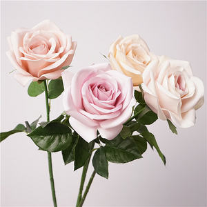 C-071 Vente en gros <span class=keywords><strong>de</strong></span> roses artificielles en latex bleu et rose poussiéreux au toucher réel pour la décoration <span class=keywords><strong>de</strong></span> <span class=keywords><strong>mariage</strong></span> et <span class=keywords><strong>de</strong></span> la maison, centres <span class=keywords><strong>de</strong></span> <span class=keywords><strong>table</strong></span> chics en forme <span class=keywords><strong>de</strong></span> rose - Product Image 2