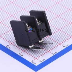 DBT30R-7.62-2P-BK-P Barrier Terminal Block Bent Lead Through Hole,P=7.62mm Connector Two Sides 7.62mm 1x2P Right Angle Pin - Product Image 1