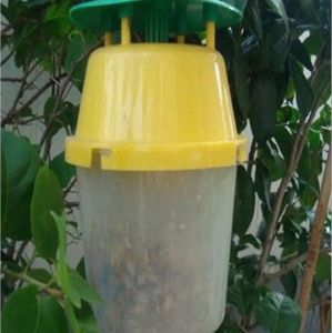 Meilleure vente pomme papillon automne légionnaire papillon blanc américain patate douce éléphant coléoptère piège en plastique en forme de tonneau - Product Image 4