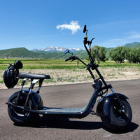 Vente directe d'usine, scooter électrique à pneus larges de 20 pouces à longue portée, Citycoco pour adultes