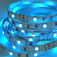 Pengendali Jarak Jauh APP Lampu Latar Pintar Fleksibel SMD5050 RGB LED Strip 12V/24V 30/60/120Leds/m IP65/68 Lanskap
