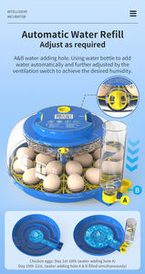 WONEGG yeni Trend 18 <span class=keywords><strong>AC</strong></span> DC Inqubator yumurta kuluçka otomatik makine yumurta kuluçka İtalya fiyatları - Product Image 5