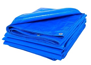 LINYI MILLION Usine de Chine Pas Cher <span class=keywords><strong>Prix</strong></span> 120gsm PE Bâche Couleur Bleue Bâche Imperméable PE Enduit Pe Bâche Couverture - Product Image 2