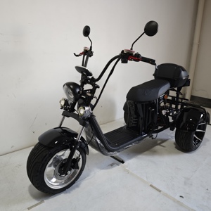 Nouveau produit : Trottinette électrique Citycoco à trois <span class=keywords><strong>roues</strong></span> avec pneus de 8 pouces, double batterie, coffre avancé, idéale pour le golf - Product Image 6