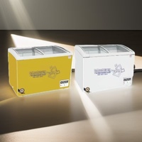 Congélateur coffre commercial 350L, température unique -25°C, pour stockage de crème glacée et présentoir de bâtonnets glacés pour supermarché