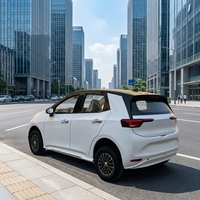 Véhicule de transport pour adultes à énergie nouvelle, 4 roues, 350*175*160cm, 3600W, double usage, voiture électrique pour adultes - Nouveauté et Offre Spéciale