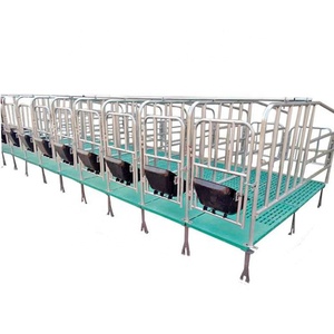 พื้นพลาสติกสำหรับเลี้ยงสุกรแบบขายดีที่สุด - Product Image 2
