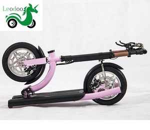 <span class=keywords><strong>Moto</strong></span> électrique sans balais, pliable et léger pour adulte, <span class=keywords><strong>12</strong></span> pouces, 36V, 300W, haute qualité - Product Image 2