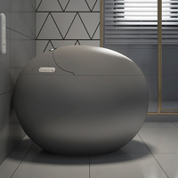 Offre Spéciale toilette automatique de luxe gris argenté séchage à air chaud toilette en forme d'oeuf toilette intelligente au sol