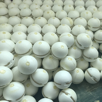 Équipement de lutte contre l'incendie Boule de feu AFO 0.5kg 1.3kg Boule d'extincteur
