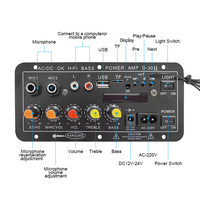 Personnalisable 12V/24V/220V HI-FI Subwoofer Bass Power Amp USB Télécommande Haute Puissance D30 Amplificateur Conseil Affichage Voitures Audio