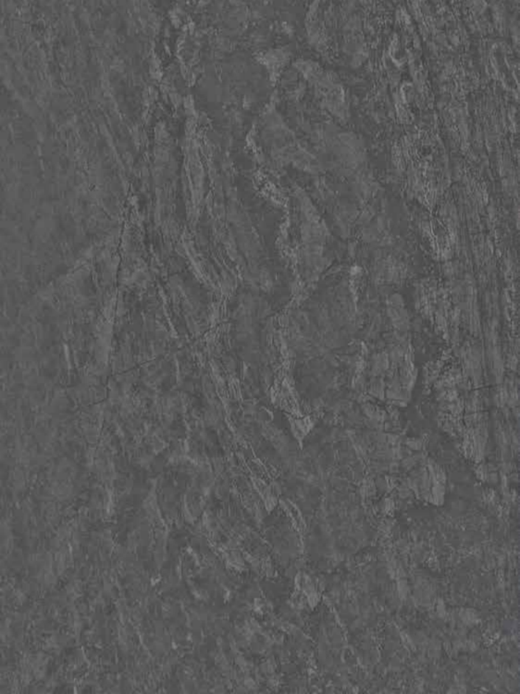 ALPS BLACK