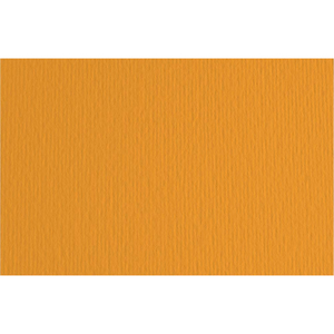 FABRIANO - ELLE ERRE CARDBOARD 50X70CM LOBSTER - Product Image 1