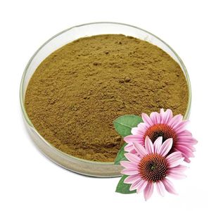 Chất lượng cao hòa tan trong nước <span class=keywords><strong>Echinacea</strong></span> Purpurea chiết xuất bột <span class=keywords><strong>Echinacea</strong></span> 4% polyphenol <span class=keywords><strong>Echinacea</strong></span> bột - Product Image 1
