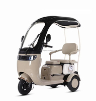 Scooter électrique à trois roues pour petits passagers, adapté aux familles et aux adultes