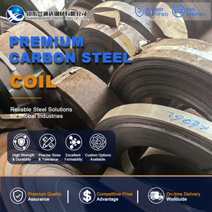 Shearing SS400 S355JR Cold Rolled Pickled and Oiled 50mm 1219mm ASTM A1011 Carbon Steel Coil in Oil and Gas - Product Image 1