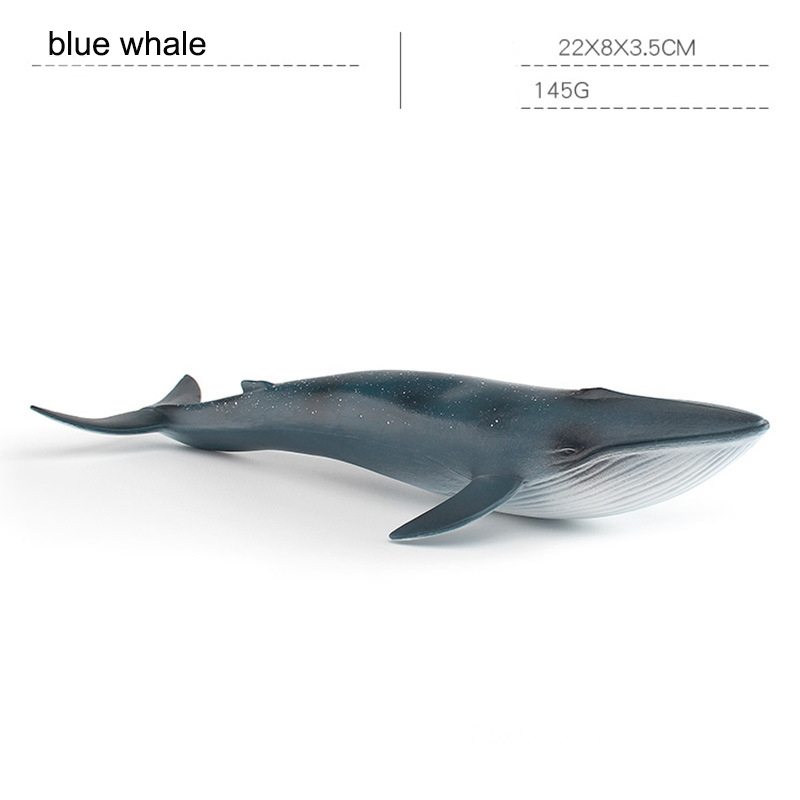 Blue whale