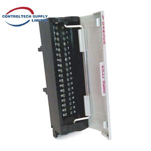 ชุดประกอบการเชื่อมต่อเอาต์พุตดิจิตอล ICS TRIPLEX T8235 - 8 ช่องสัญญาณคู่, 24V ความน่าเชื่อถือสูงสำหรับการควบคุมในอุตสาหกรรม - Product Image 2