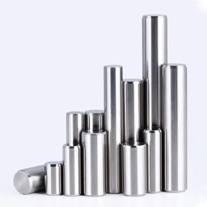 Clou cylindrique en acier inoxydable, 10 pièces, 304, broches de localisateur