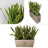 Tanaman ular buatan plastik tanaman Bonsai buatan tanaman ular santivieria Agave tanaman hias buatan untuk dekorasi dalam ruangan