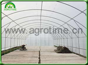 <span class=keywords><strong>Tunnel</strong></span> élevé agricole économique et durable pour une culture efficace - Product Image 4