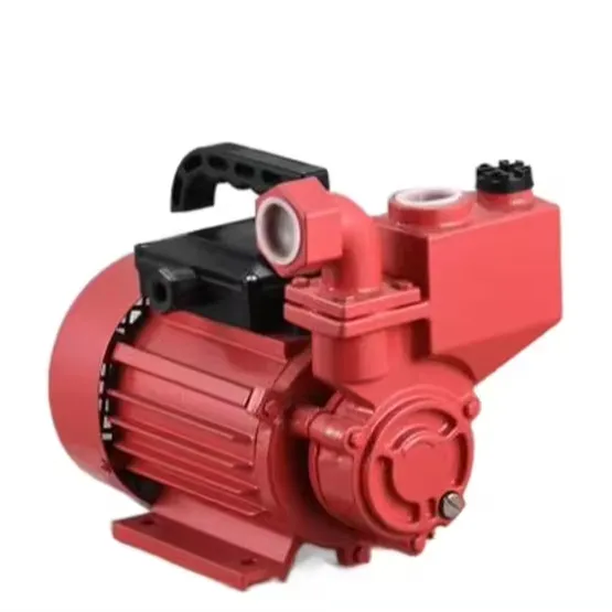 1ZDB 65 series 750w 1HP 220v mini automatic self priming electric clean water pump for marine