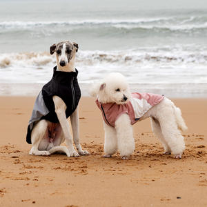 เสื้อโค้ทแบบมีซิปสำหรับสัตว์เลี้ยงเสื้อโค้ทสำหรับสัตว์เลี้ยงเสื้อโค้ทสำหรับใส่กลางแจ้งเสื้อกั๊กระบายความร้อนสำหรับสุนัขฤดูร้อน - Product Image 6