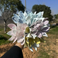 Fleurs éternelles en céramique à pression manuelle pour la décoration intérieure – Marguerites et chrysanthèmes artificiels décoratifs