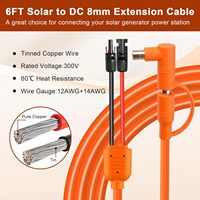 Câble d'extension de charge YouLong pour stockage d'énergie, ligne de connexion CC 8 mm, conducteur en laiton, 1,8 m, 12/14 AWG, PVC, indice de protection IP67, 250 V