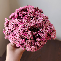 Petites fleurs séchées naturelles mini marguerites blanches, remplisseurs floraux réels pour DIY, décorations de Noël, de la Fête des Mères, de la remise des diplômes et pour la maison, en verre