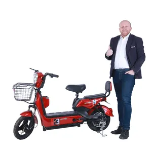 Y2-GE leistungs starkes E-Bike 48v 500w Hochleistungs-E-Bike-Fahrrad Fahrrad Fahrrad Fracht Zweirad Elektro fahrrad