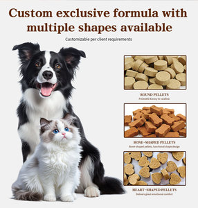 Suplemento Probiótico para Mascotas de Marca Privada OEM, Apoya la Flora Intestinal y la Función Inmunológica, Suplemento Nutricional para Gatos - Product Image 4